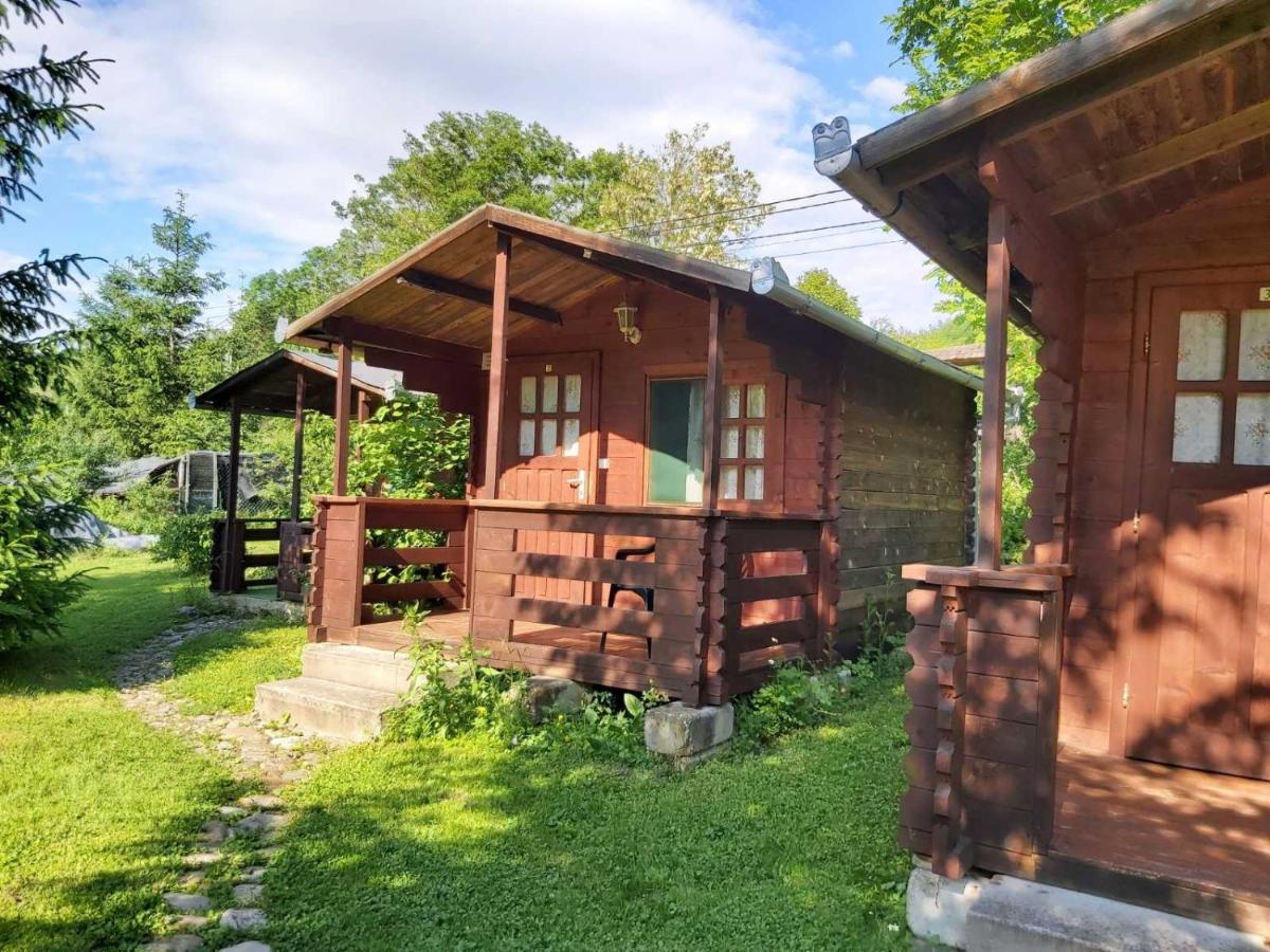 Bungalow Camping Edelweiss - Floare de colt - Gyopár Rimetea Esterno foto