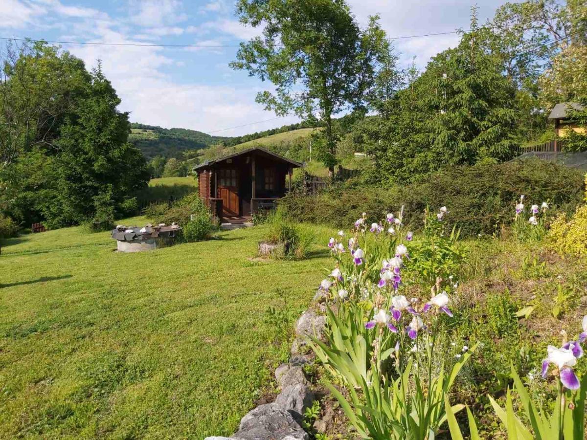 Bungalow Camping Edelweiss - Floare de colt - Gyopár Rimetea Esterno foto