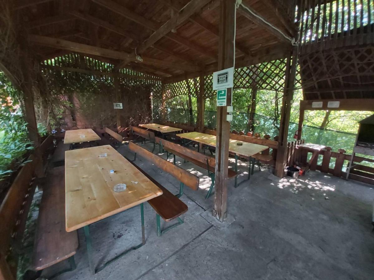 Bungalow Camping Edelweiss - Floare de colt - Gyopár Rimetea Esterno foto
