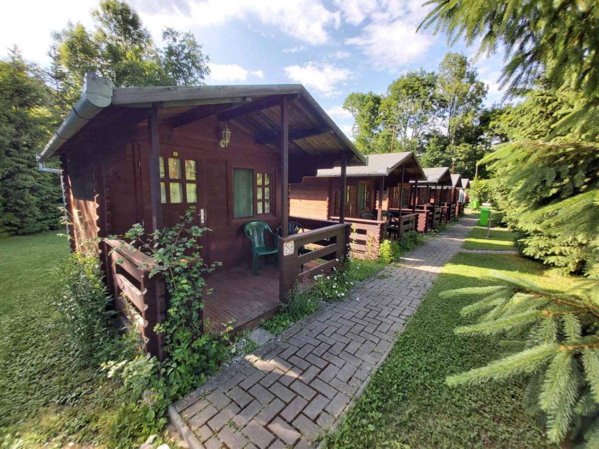 Bungalow Camping Edelweiss - Floare de colt - Gyopár Rimetea Esterno foto