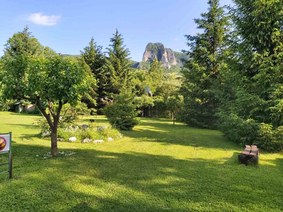 Bungalow Camping Edelweiss - Floare de colt - Gyopár Rimetea Esterno foto
