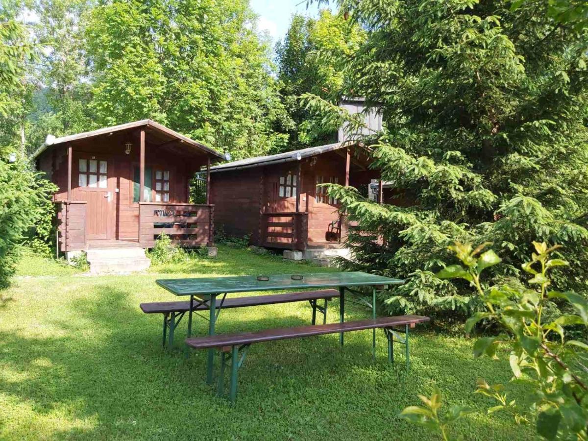 Bungalow Camping Edelweiss - Floare de colt - Gyopár Rimetea Esterno foto