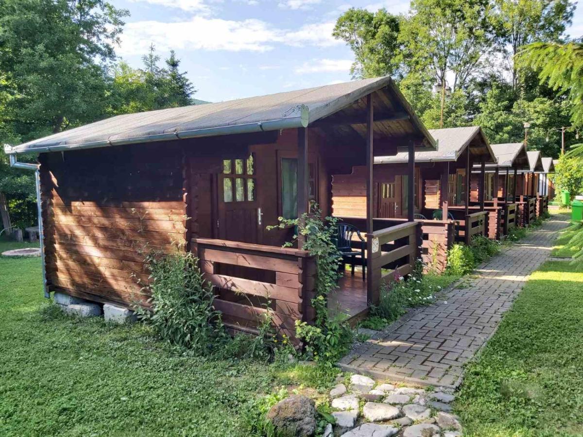 Bungalow Camping Edelweiss - Floare de colt - Gyopár Rimetea Esterno foto
