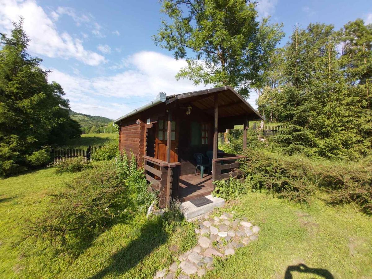 Bungalow Camping Edelweiss - Floare de colt - Gyopár Rimetea Esterno foto