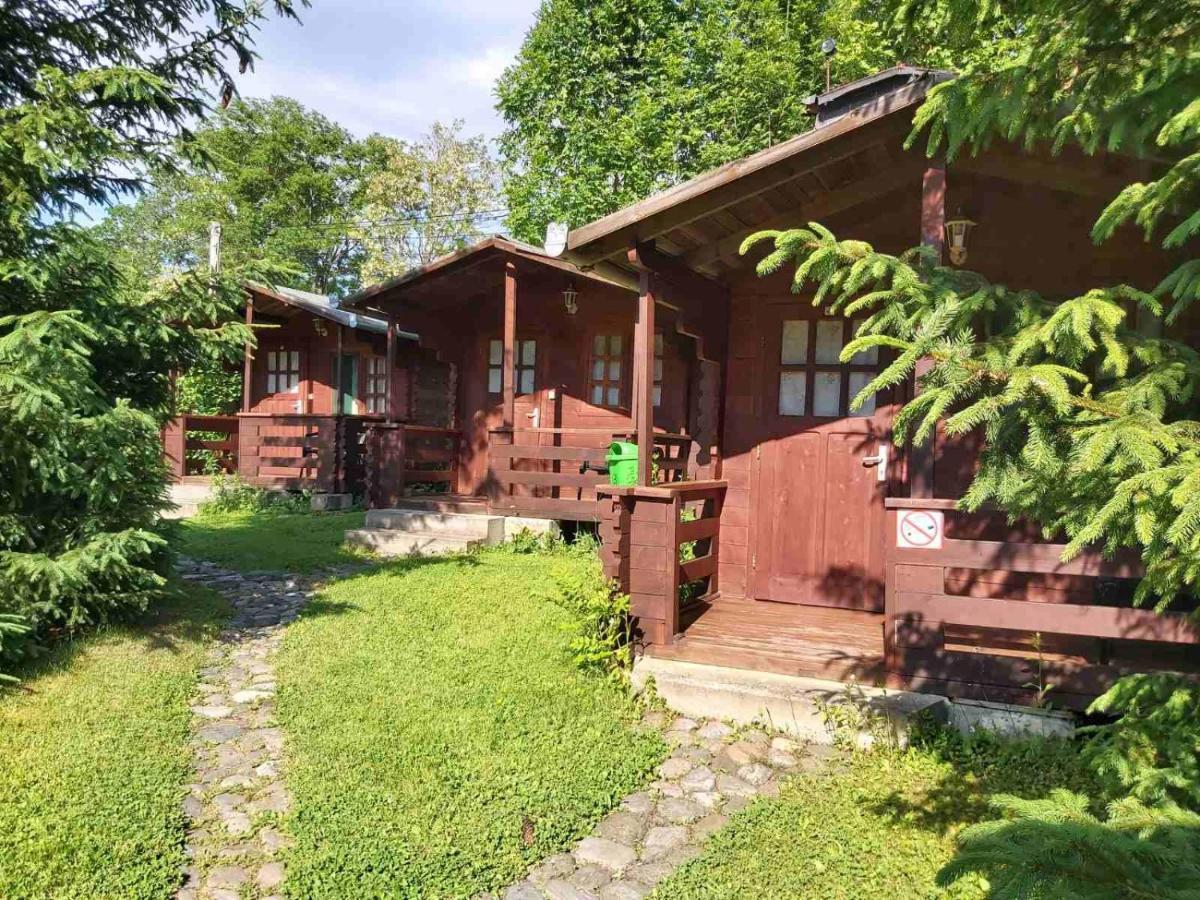 Bungalow Camping Edelweiss - Floare de colt - Gyopár Rimetea Esterno foto