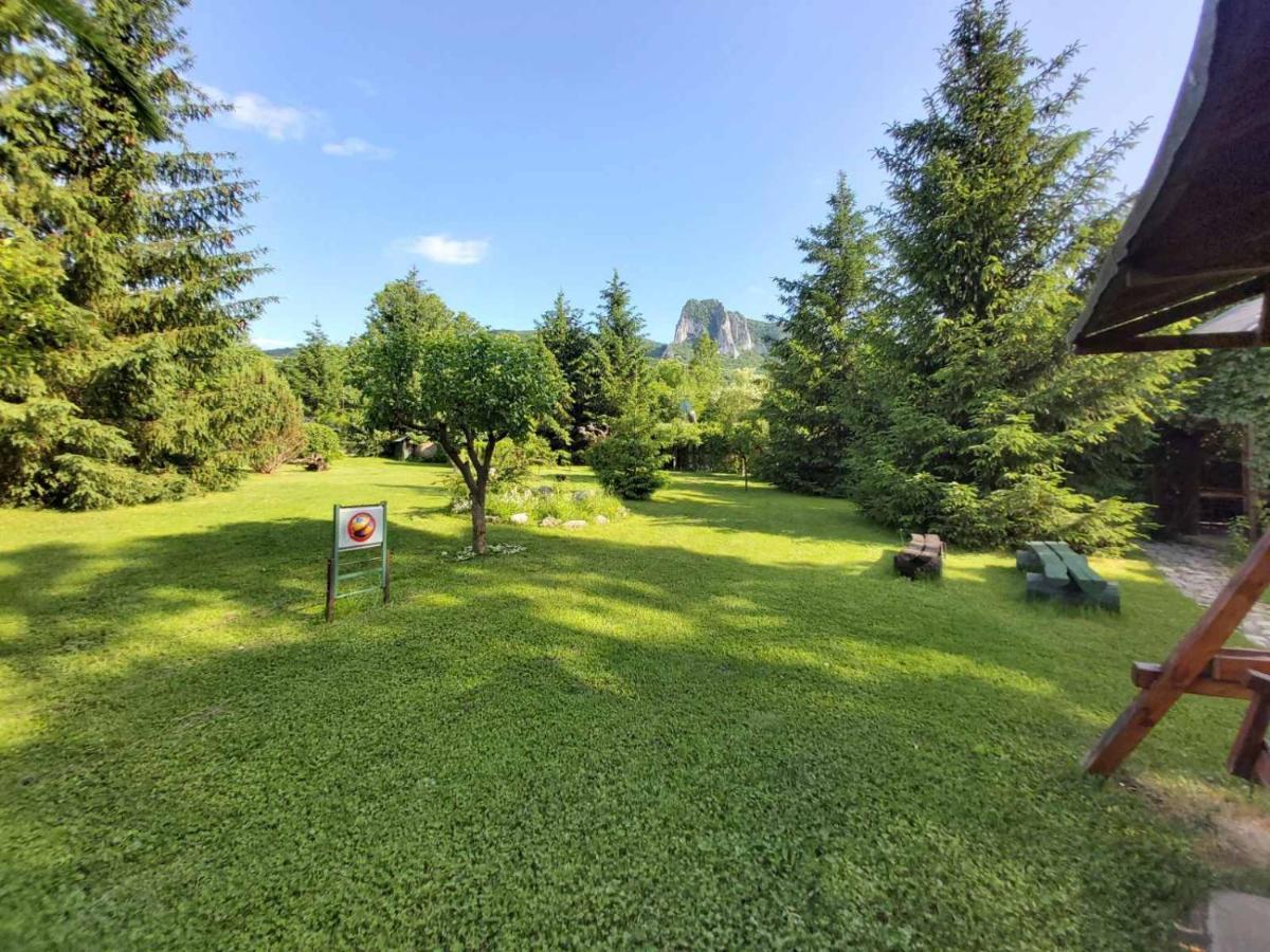 Bungalow Camping Edelweiss - Floare de colt - Gyopár Rimetea Esterno foto