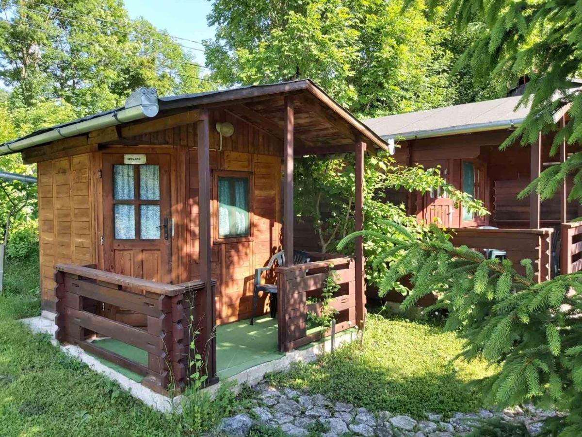 Bungalow Camping Edelweiss - Floare de colt - Gyopár Rimetea Esterno foto